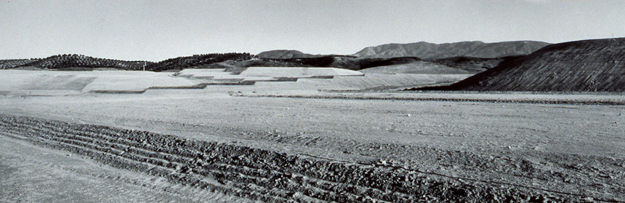 Recent Terrains #7, Temecula, CA, 1991